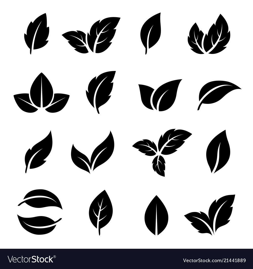 Set of black leaf icons Royalty Free Vector Image