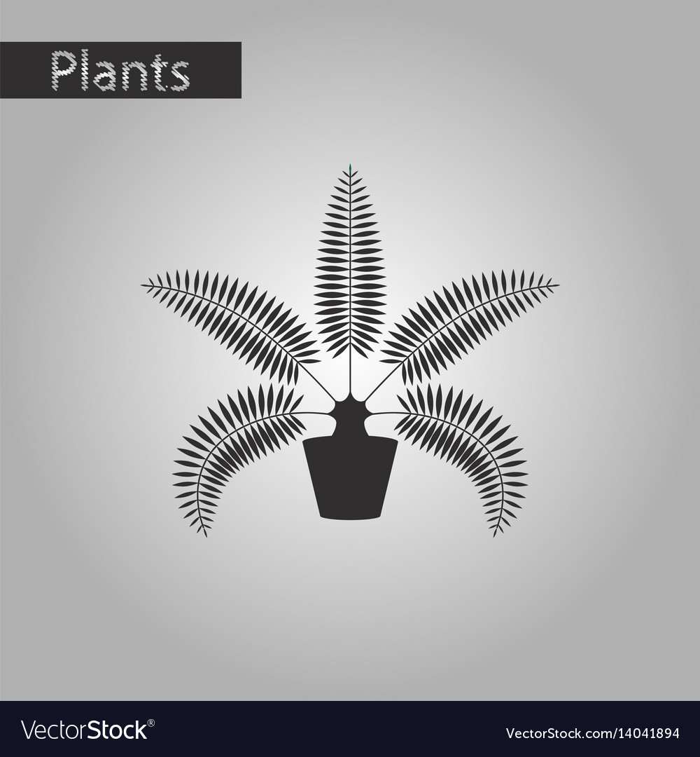 Black and white style icon of phoenix Royalty Free Vector