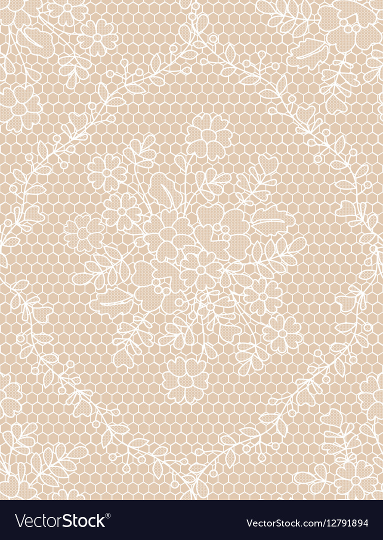 Seamless white lace Royalty Free Vector Image - VectorStock