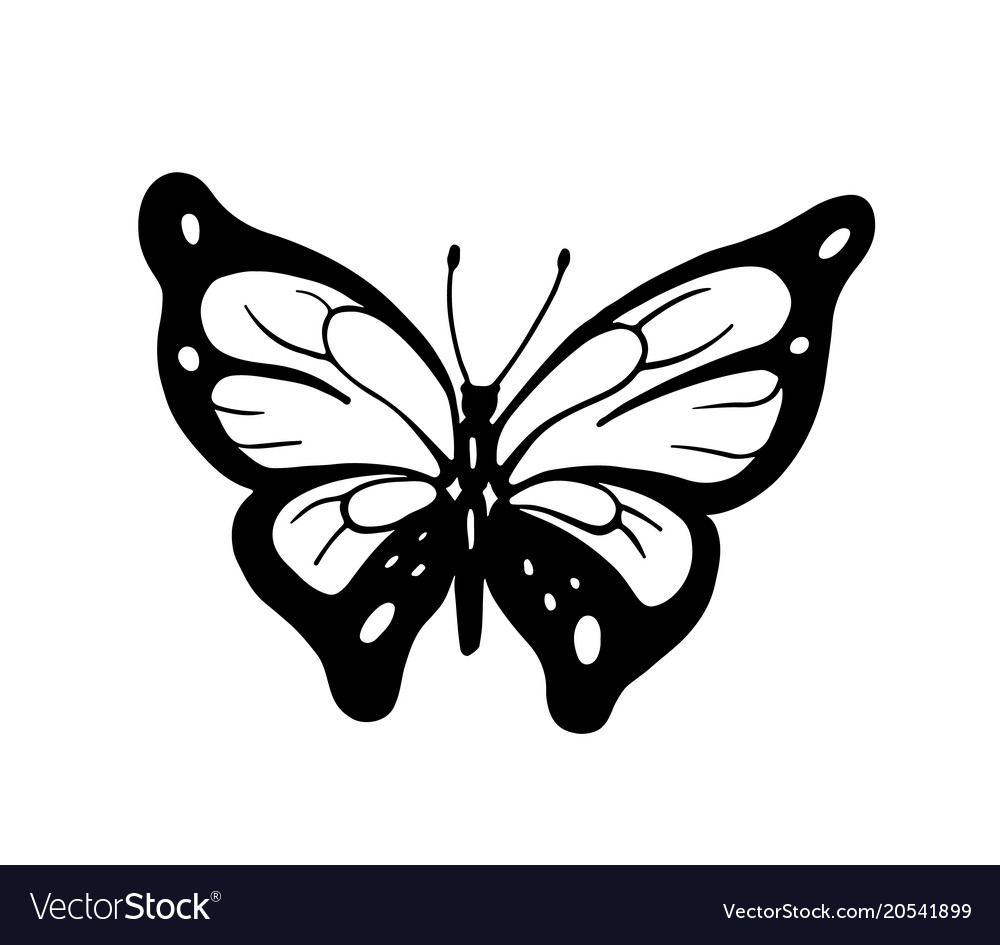 Download Ornamented abstract butterfly Royalty Free Vector Image