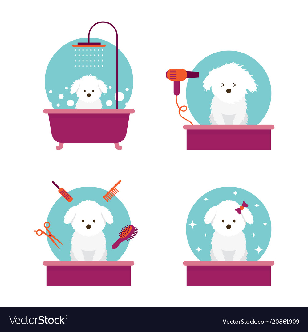 VectorStock