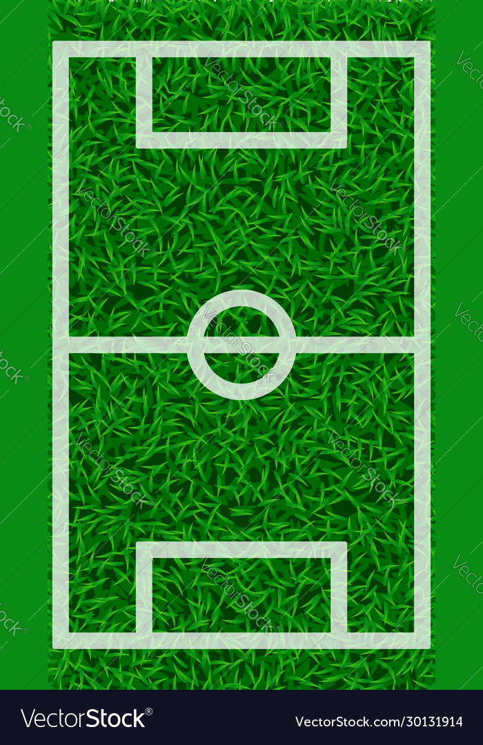 Football grass field vector image Football grass field