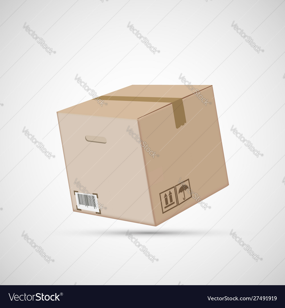 Closed cardboard box isolated on a white Vector Image