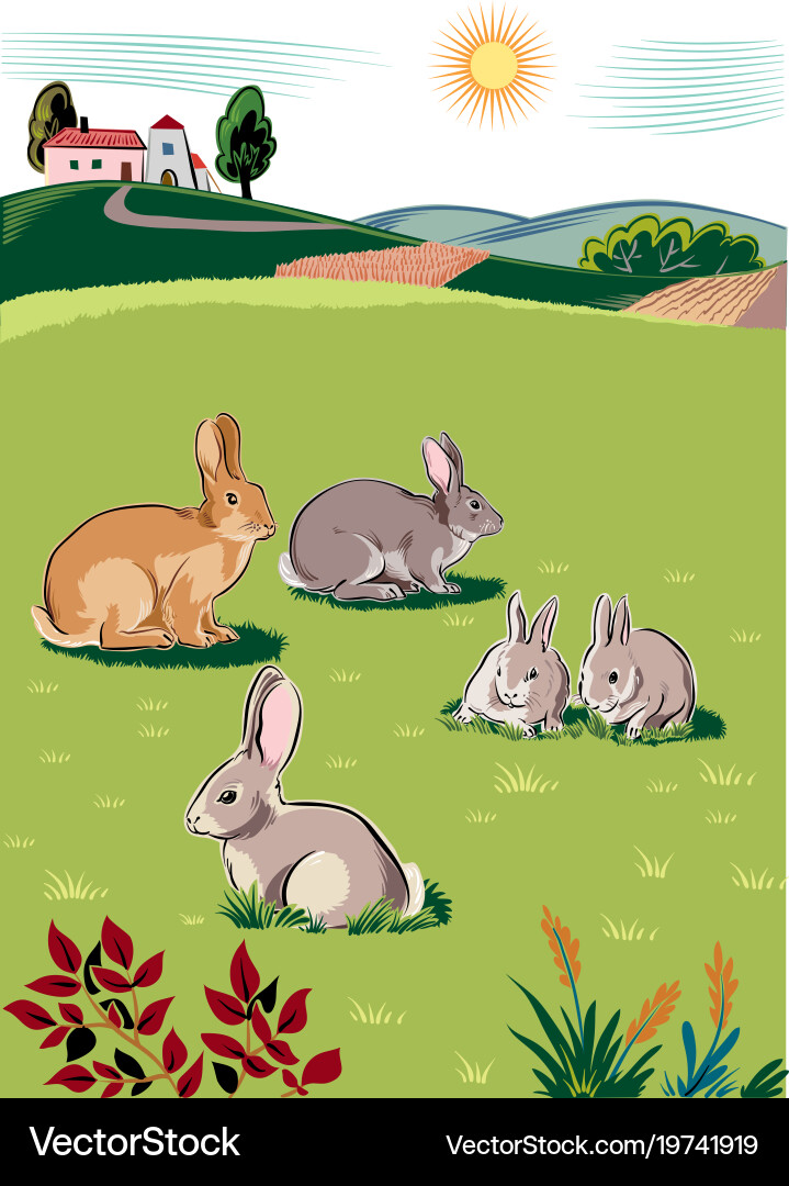 Rabbits and bunnies Royalty Free Vector Image - VectorStock