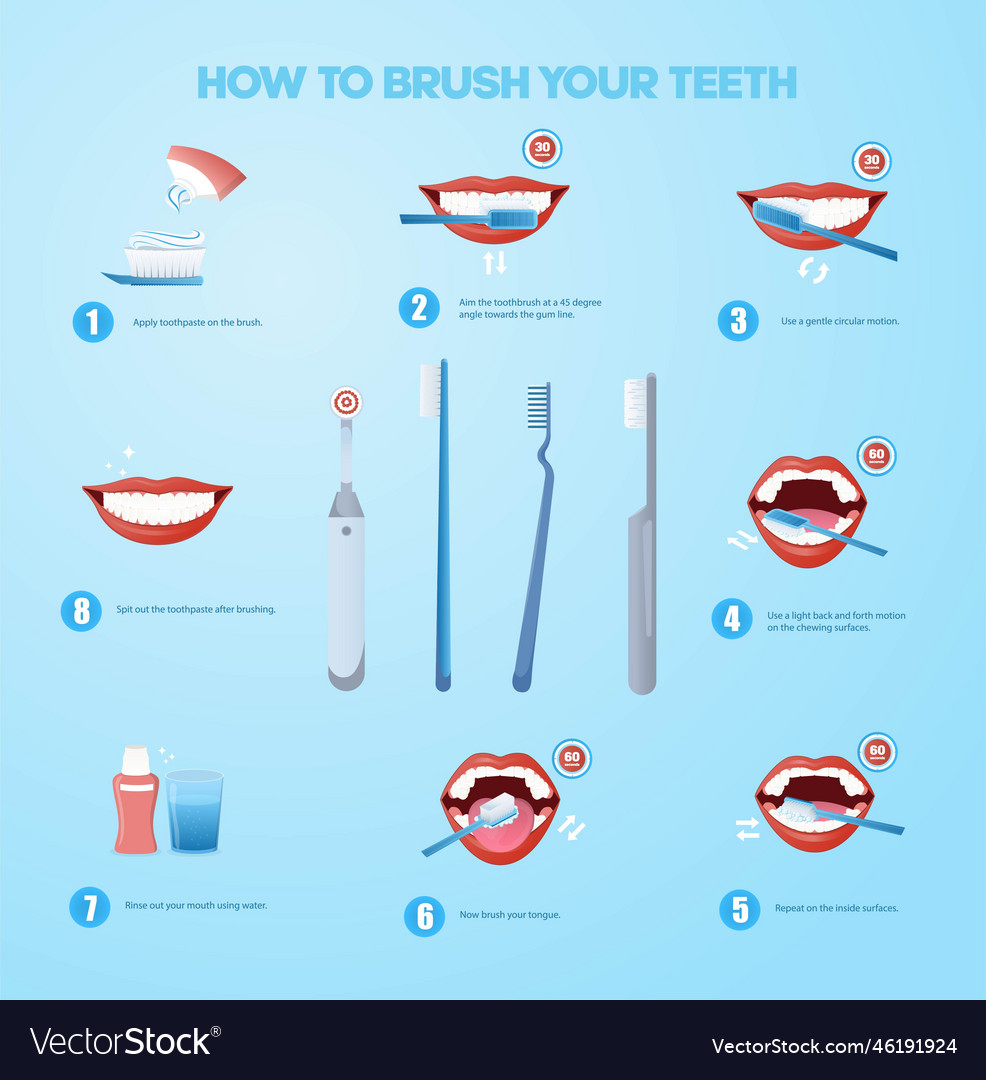 Brushing teeth infographic Royalty Free Vector Image