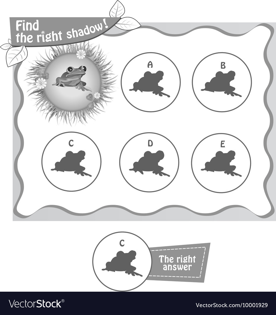 Shadow rights. Find right Shadow. Найдите правильную тень лягушки. Игра тень лягушки. Find the right Shadow Advance.