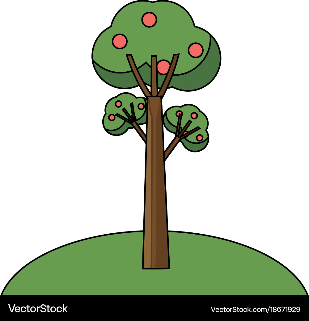 Fruit trees icon Royalty Free Vector Image - VectorStock