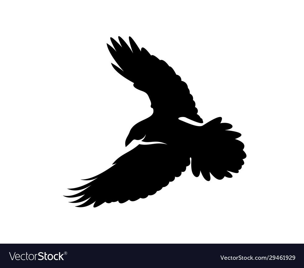 Raven bird logo template black silhouette Vector Image