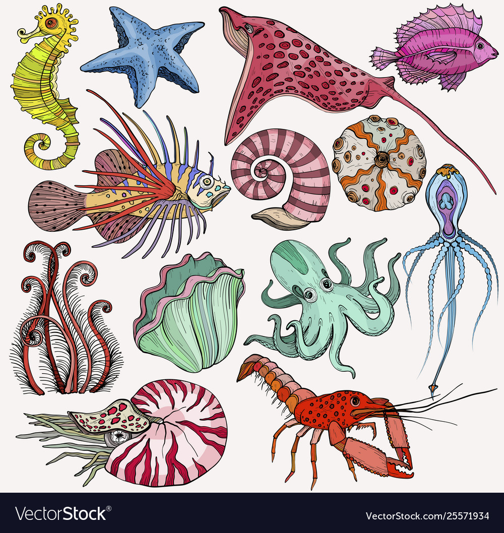 Set with marine life organisms Royalty Free Vector Image