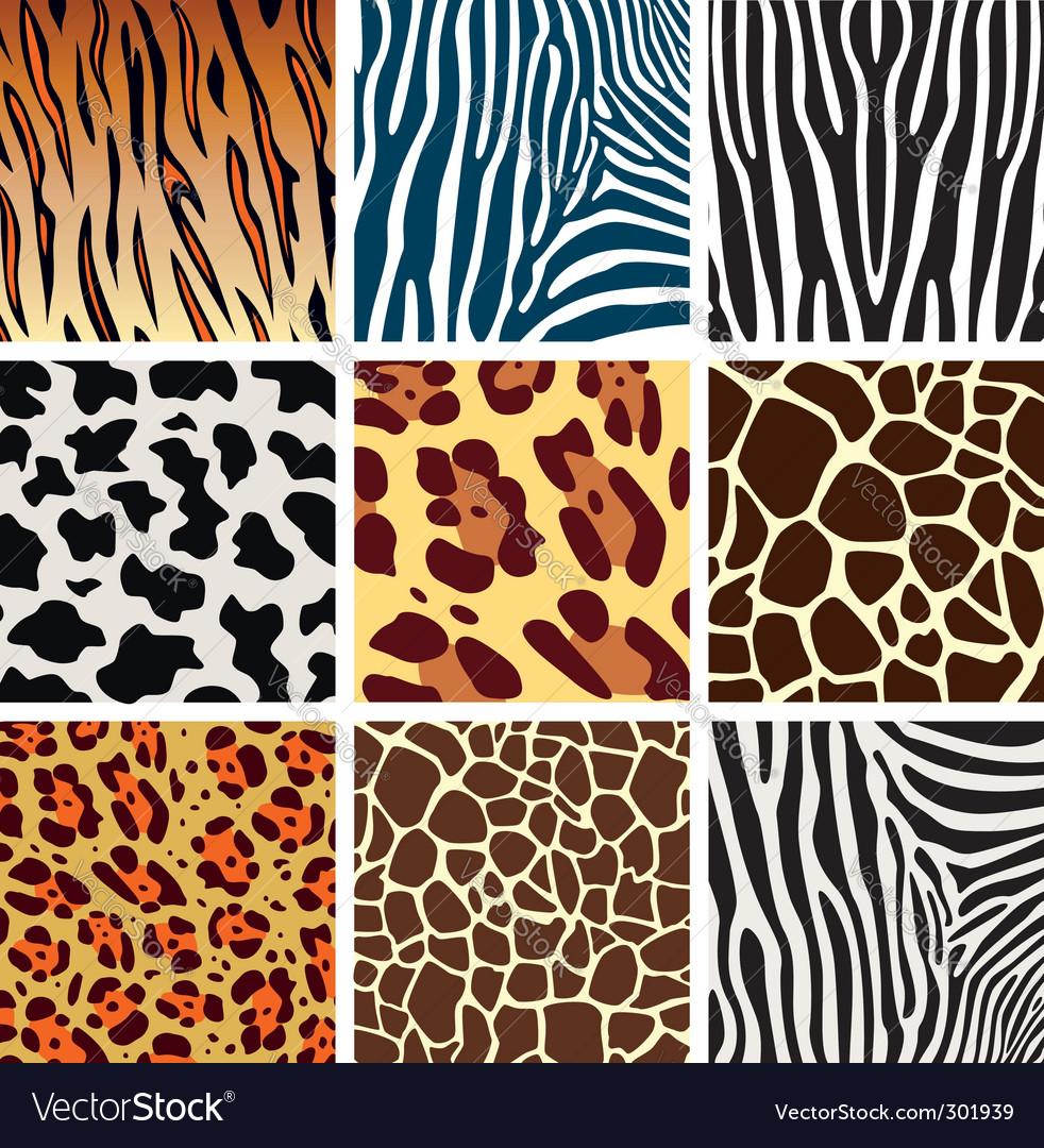 Download Animal skins Royalty Free Vector Image - VectorStock