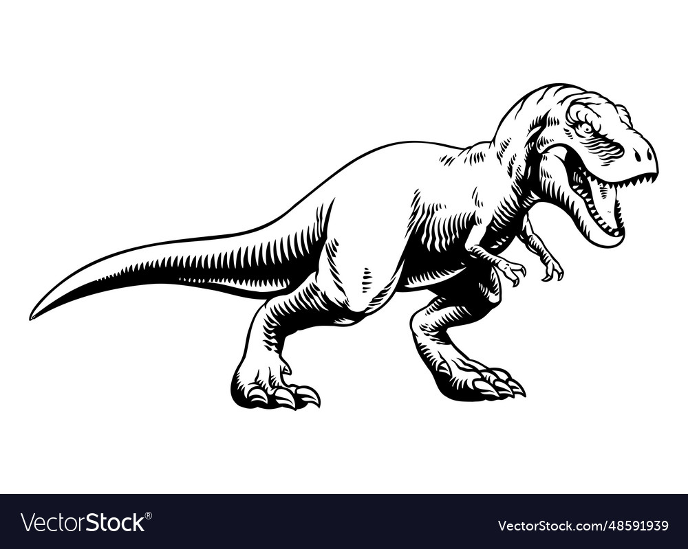 Editable vector hand drawing illustration of Tyranosaurus Rex or T