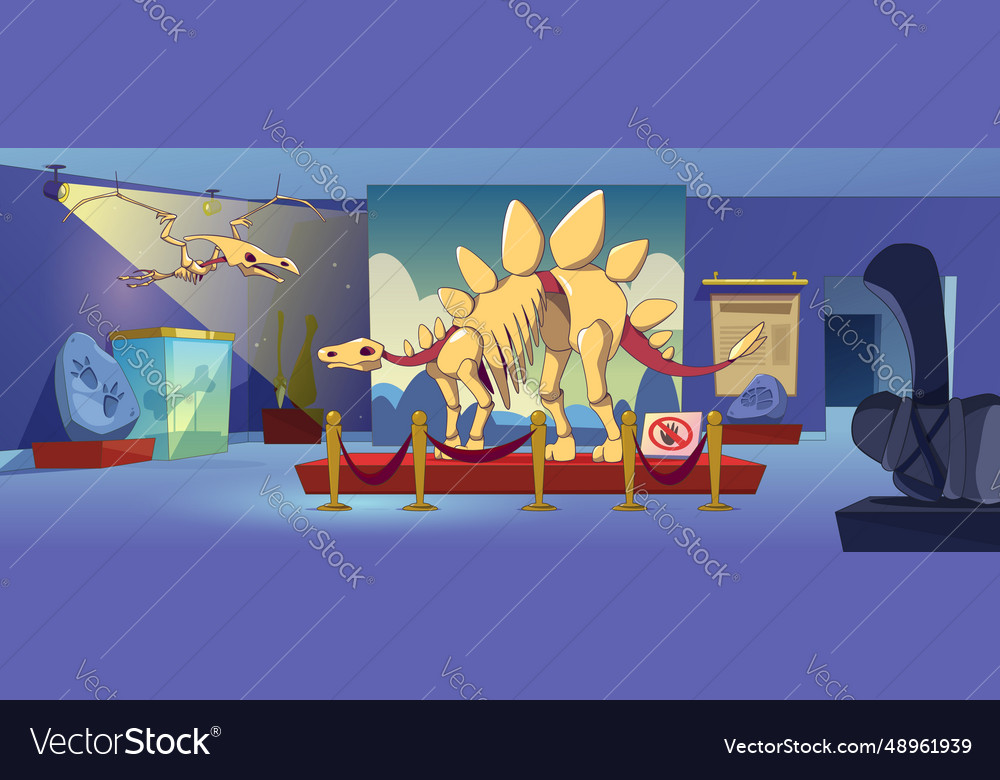 Museum exhibit with stegosaurus dinosaur fossil Vector Image