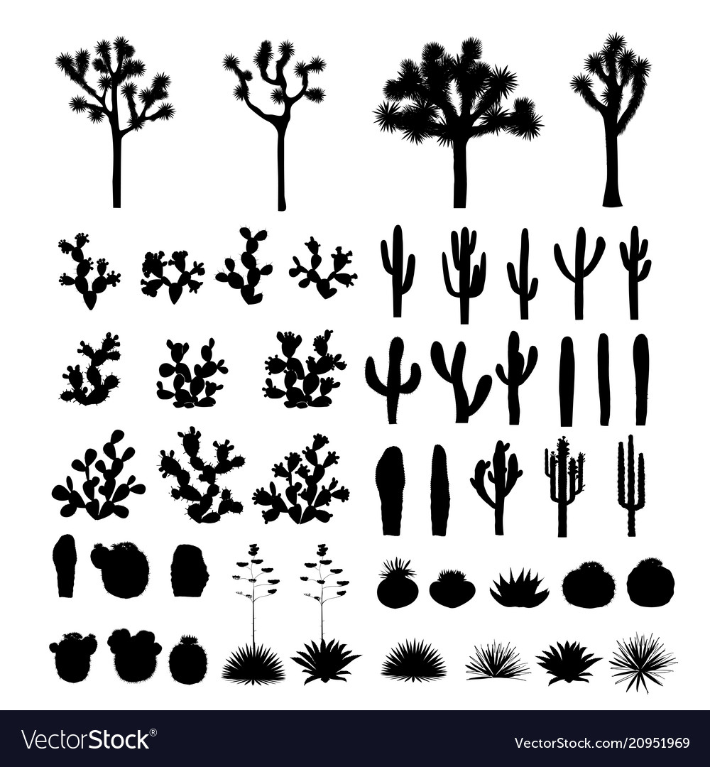 Big collection of black silhouettes of cacti vector image Big collection of black silhouettes of cacti