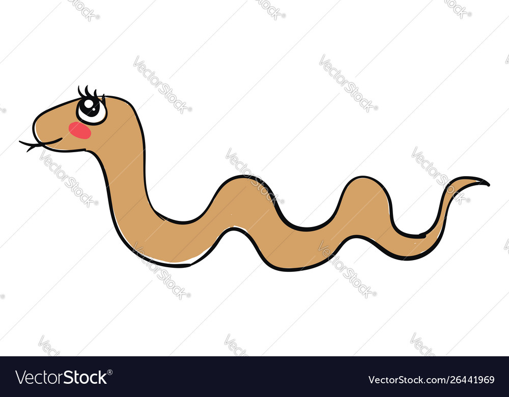 Cute snake on white background Royalty Free Vector Image