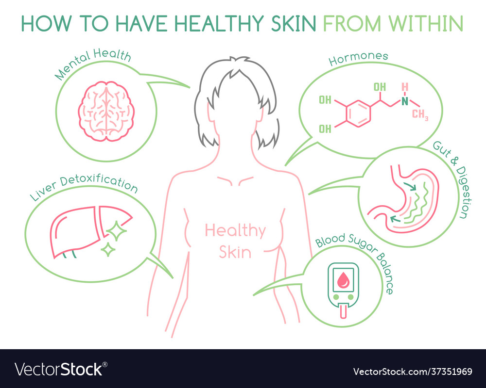 Skin health horizontal poster useful medical Vector Image