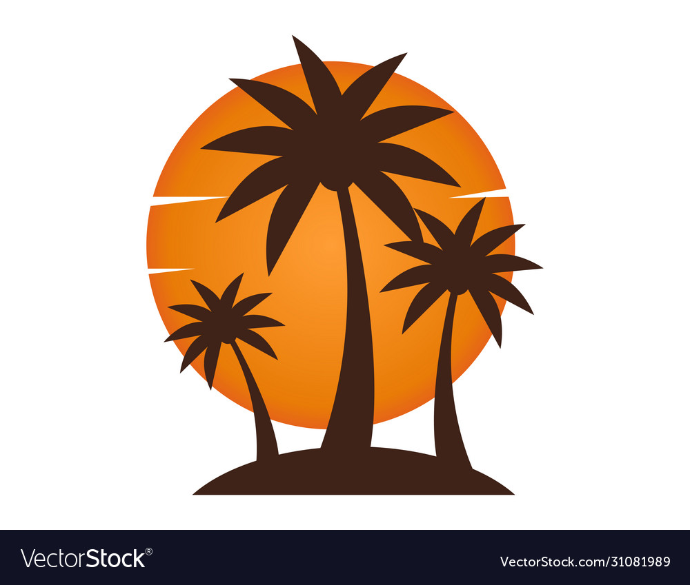 Beach sunset with palm tree and sun vacation Vector Image