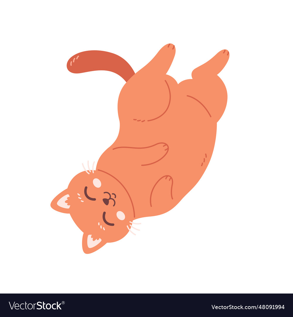 Cute cat sleeping home cat life feline Royalty Free Vector