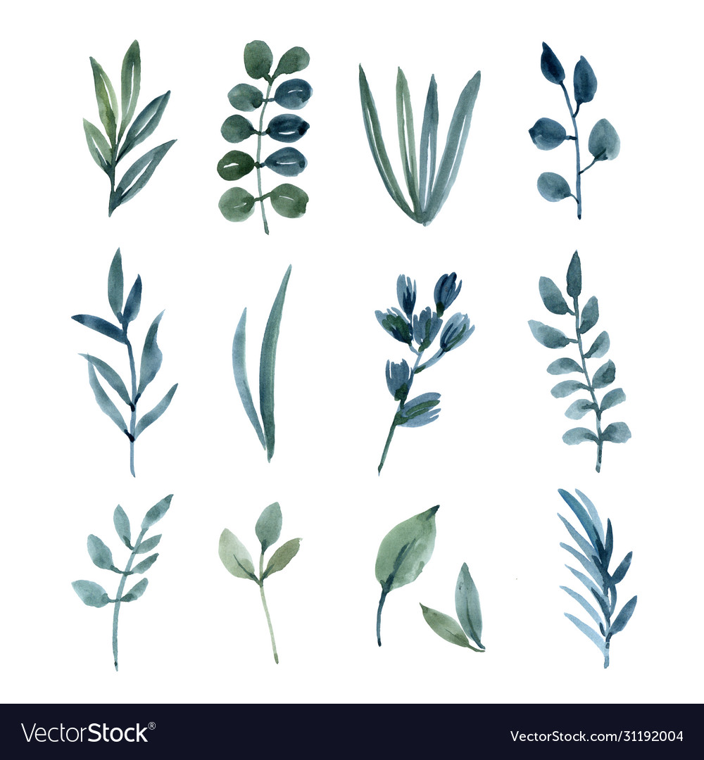 Leaves Watercolor Elements Set Hand Painted Lush Vector Image