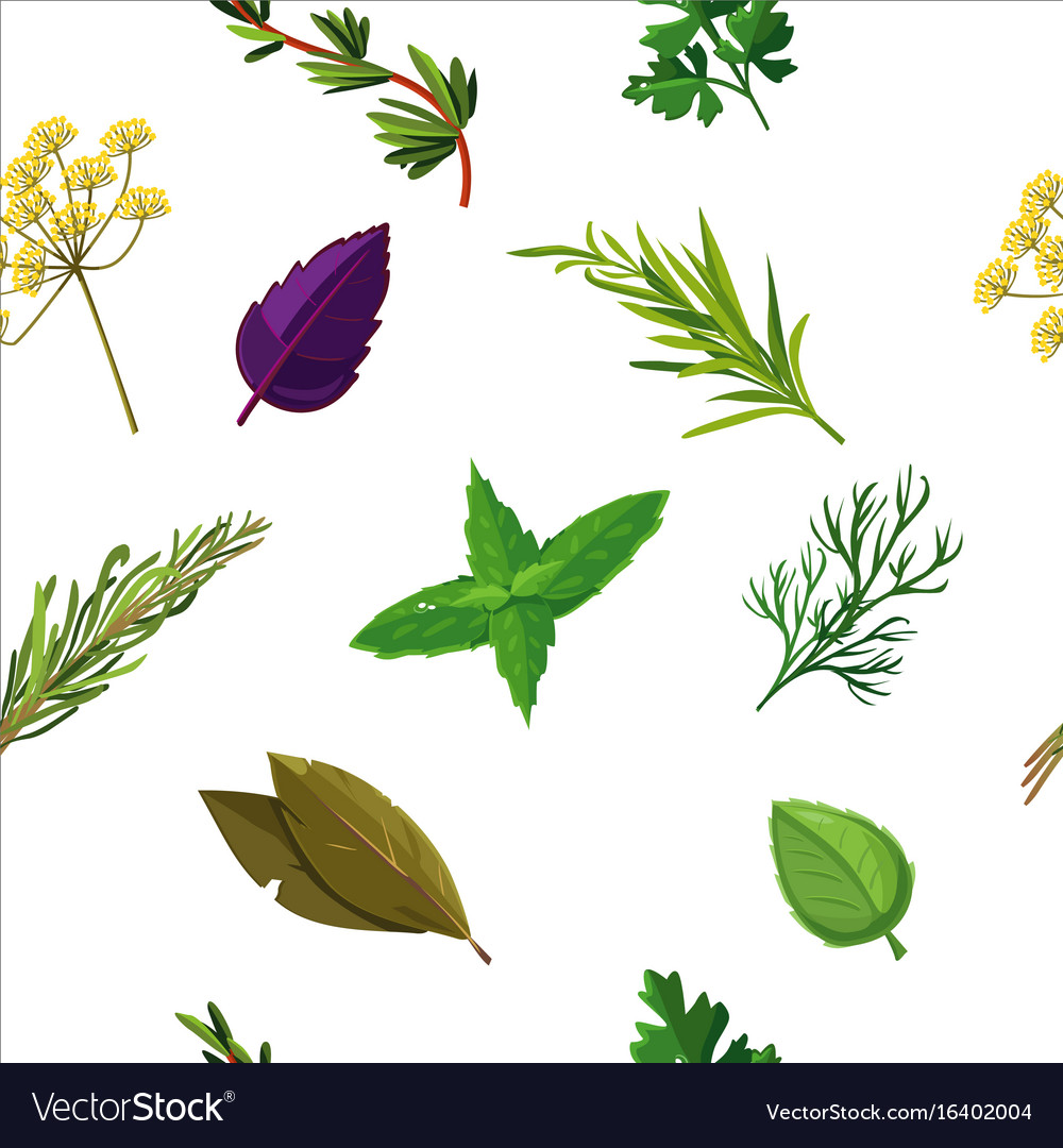 Seamless herbs pattern with seasoning and spices Vector Image