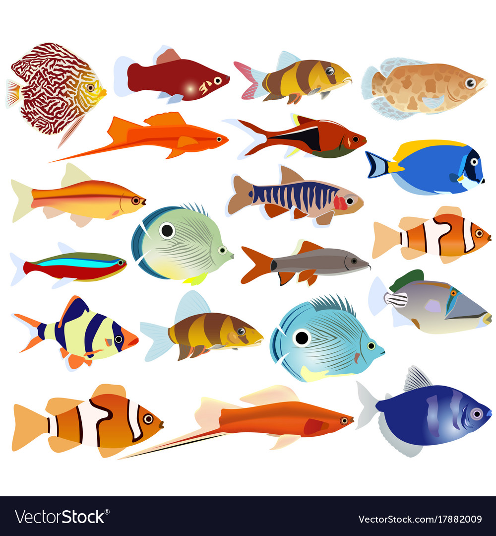 Download A set of aquarium fish Royalty Free Vector Image