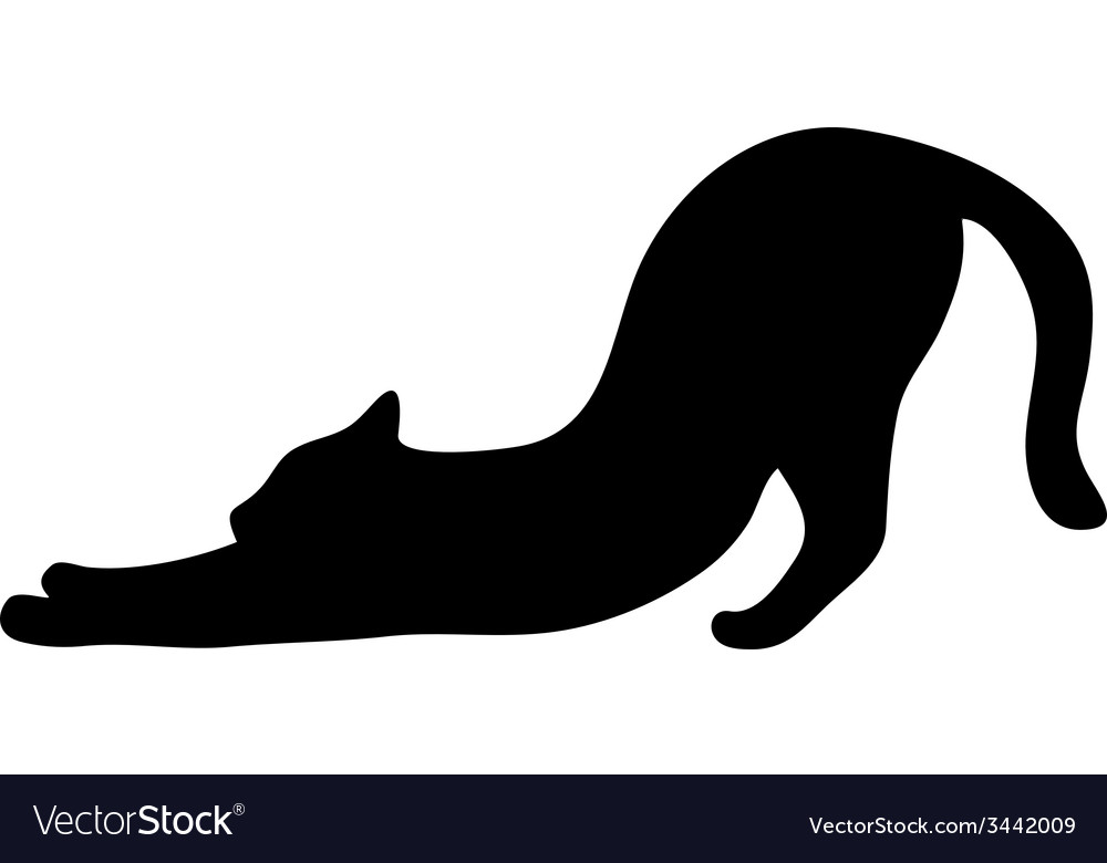 Cat silhouette