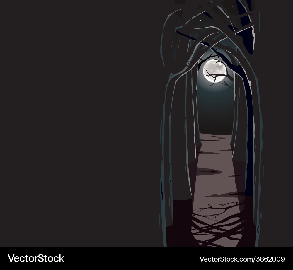 Night wood Royalty Free Vector Image - VectorStock