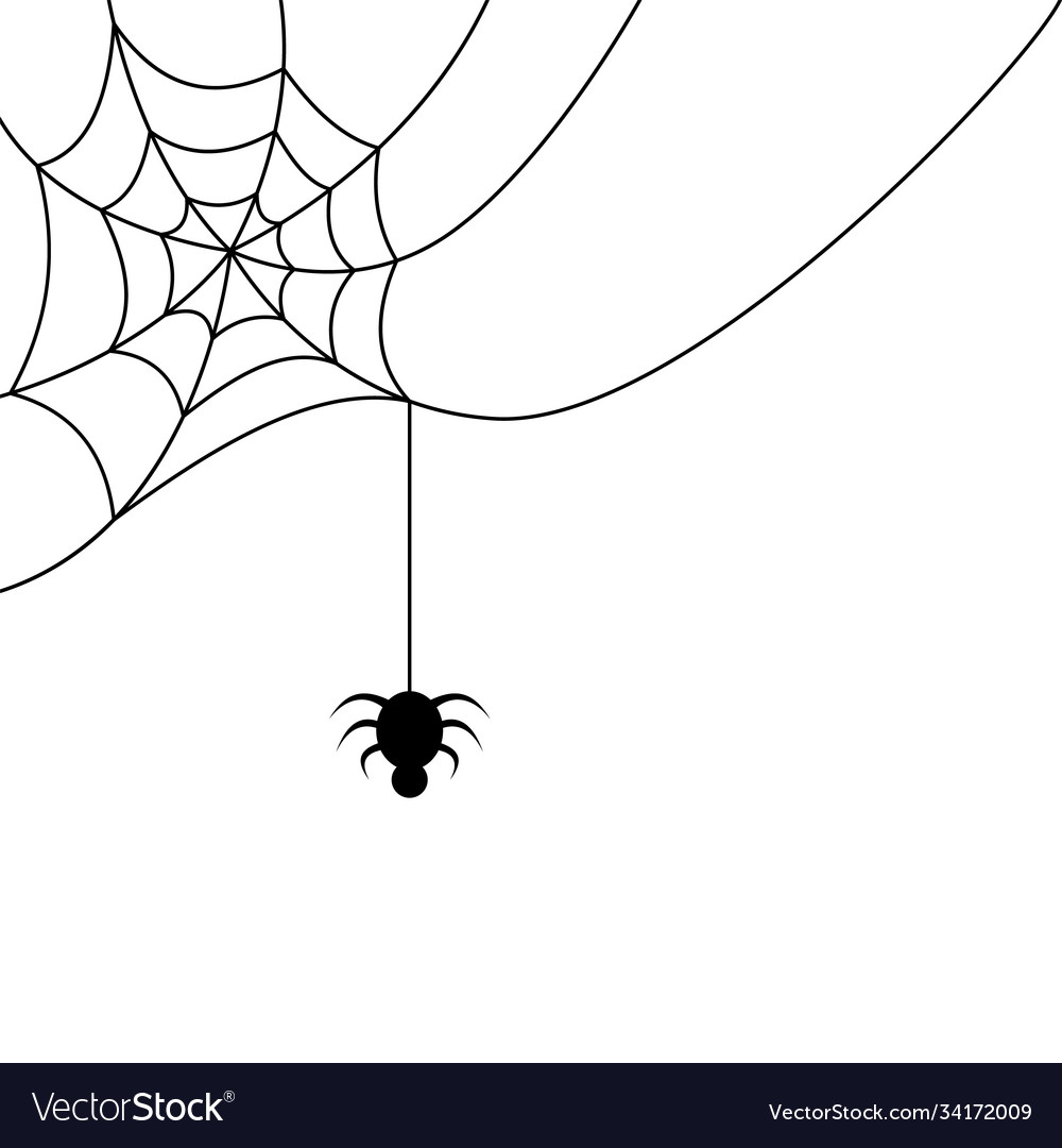 Hanging Spider Vector