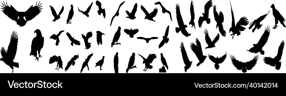 Flying eagles Royalty Free Vector Image - VectorStock