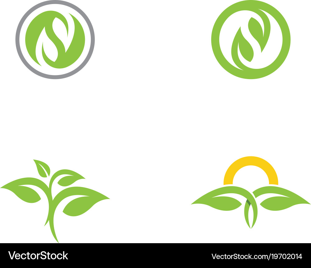 Leaf nature logo template Royalty Free Vector Image