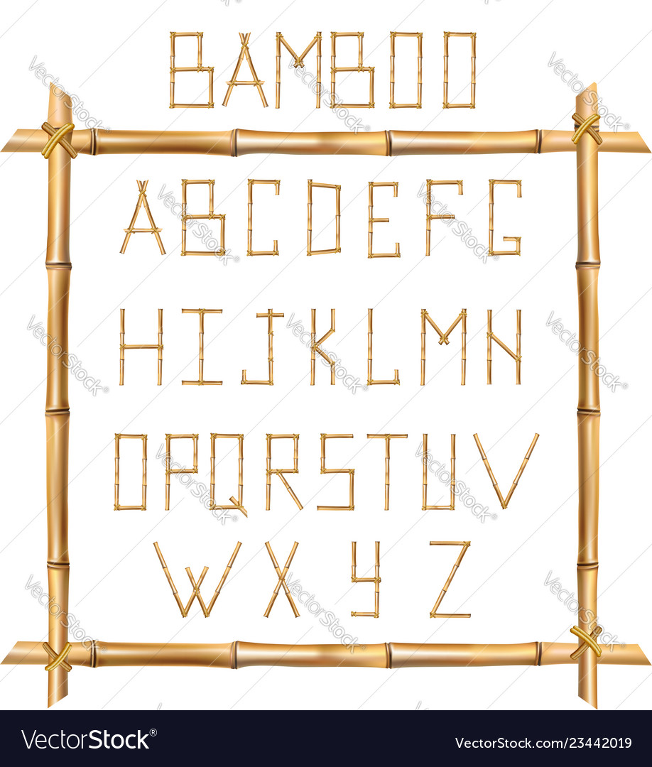 Bamboo alphabet isolated on white background Vector Image