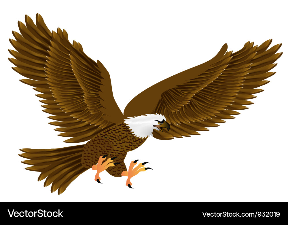 Eagle Royalty Free Vector Image - VectorStock