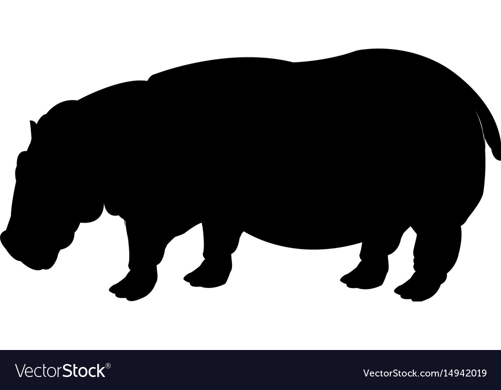 Hippo standing animal naturalist wildlife style Vector Image