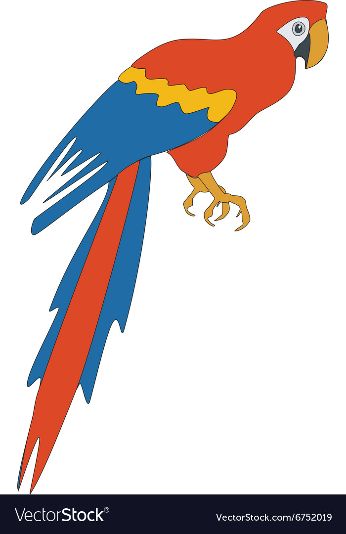 Parrot color 03 Royalty Free Vector Image - VectorStock