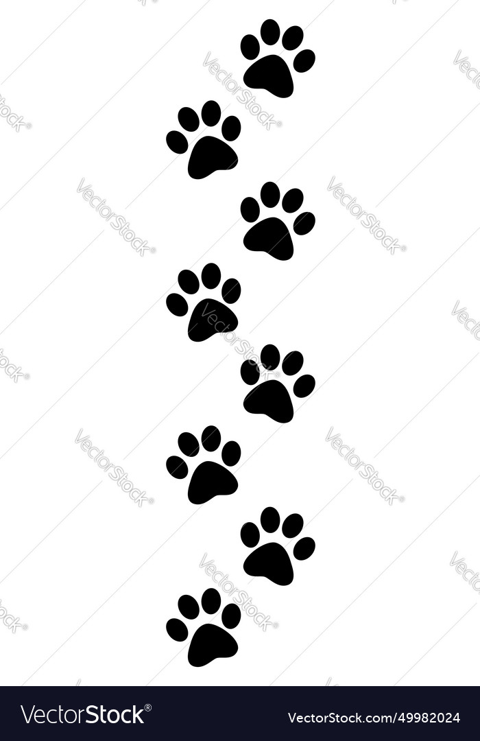 Animal tracks black and white silhouette Vector Image