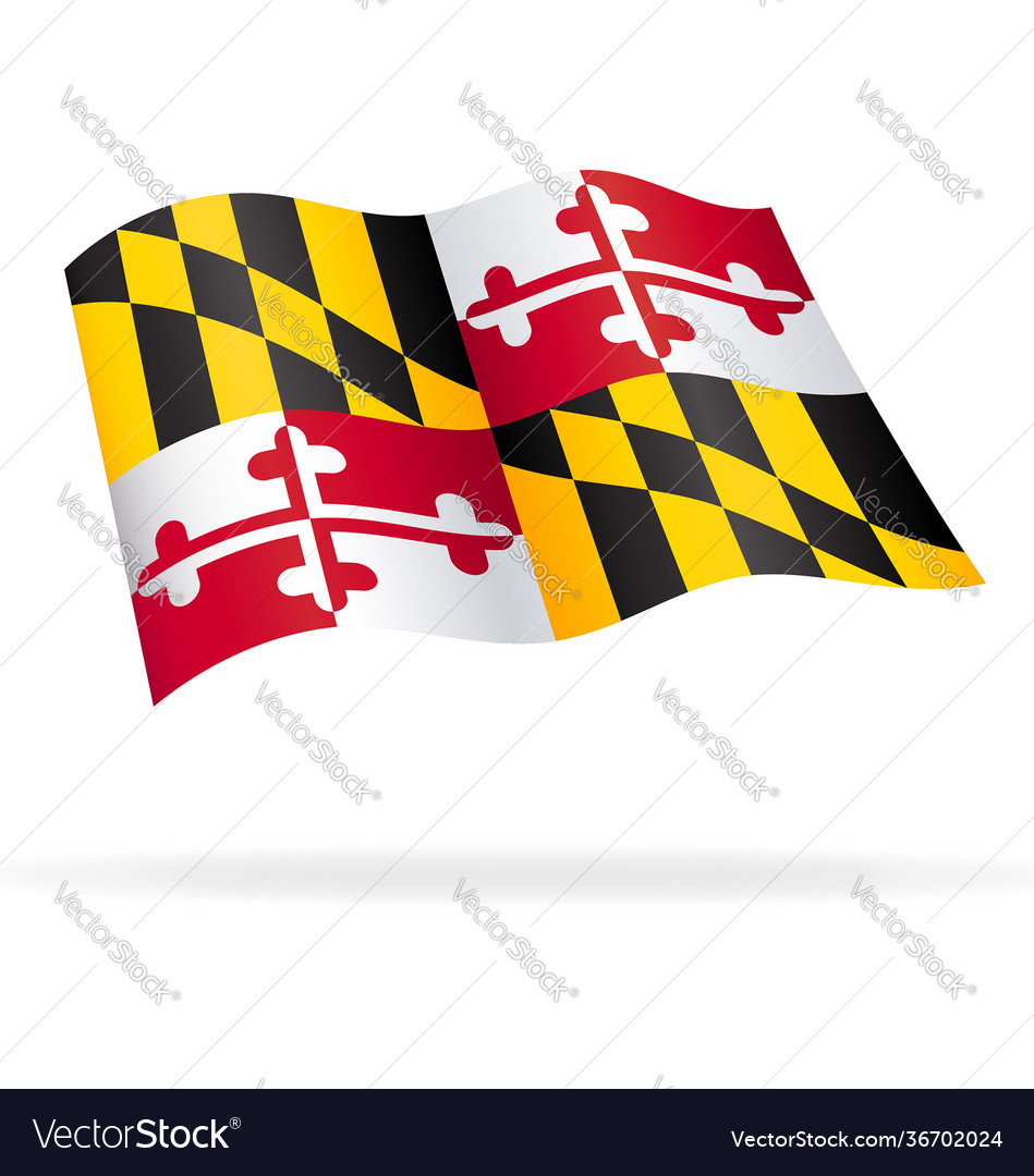 Correct maryland md state flag Royalty Free Vector Image