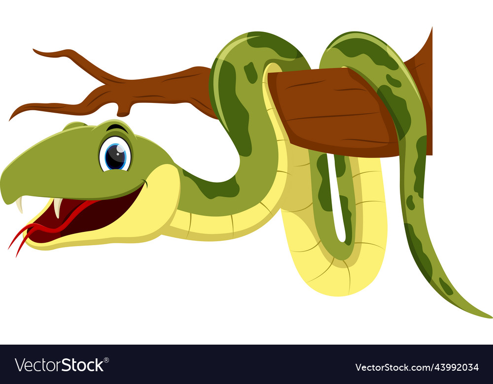 Cute green snake cartoon on branch Royalty Free Vector Image