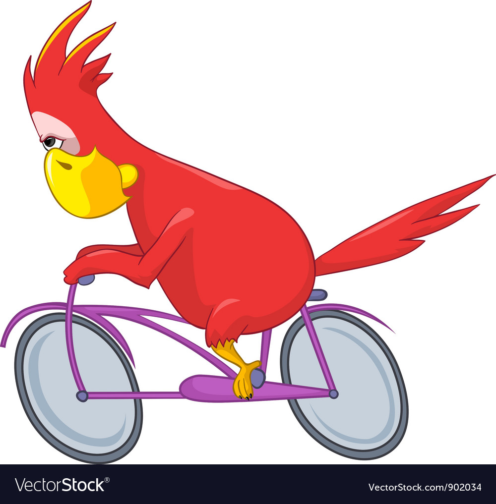 Funny Parrot Biker Royalty Free Vector Image Vectorstock 