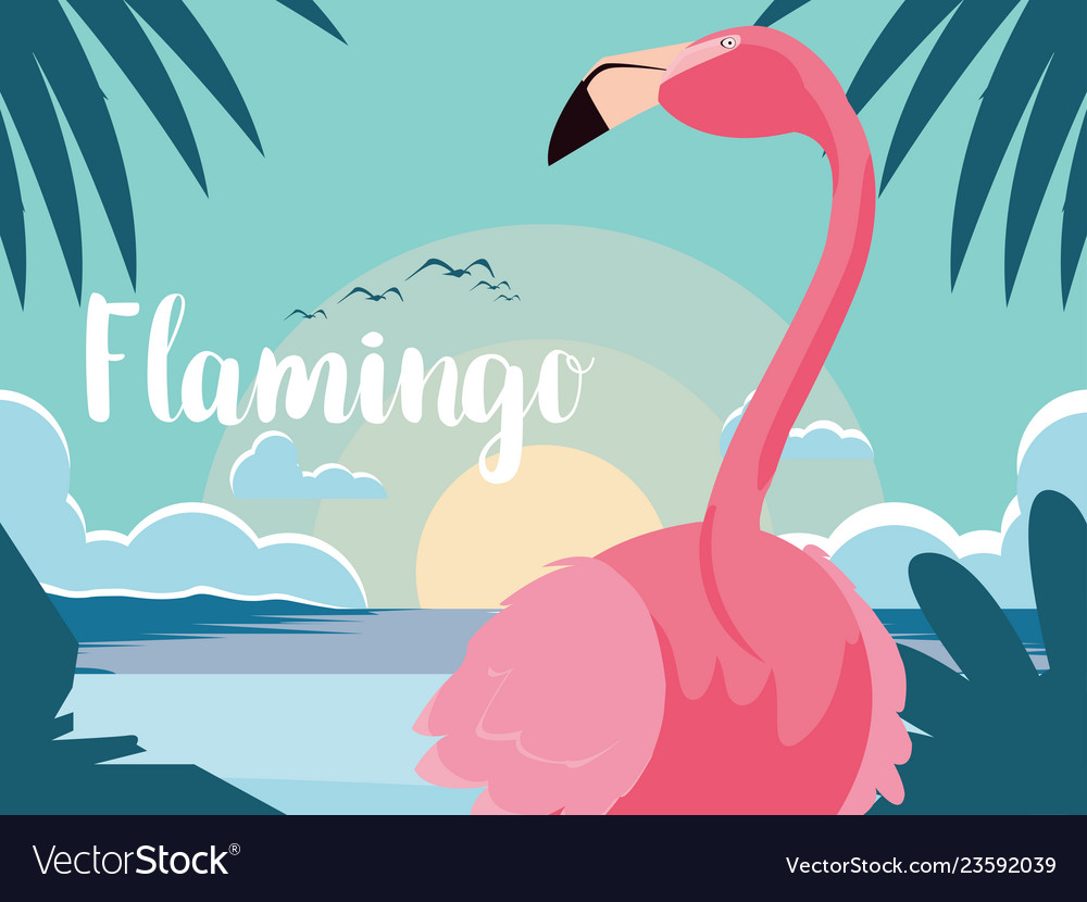 Beautiful flamingo bird stand in the landscape Vector Image