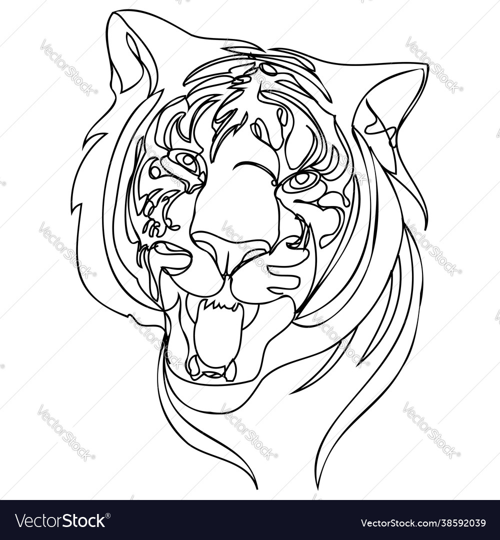 Tiger Line Art Stock Vector by ©koratmember 32748911