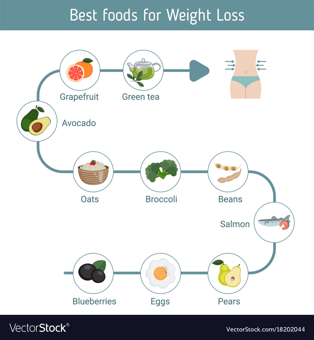 Best foods for weight loss Royalty Free Vector Image