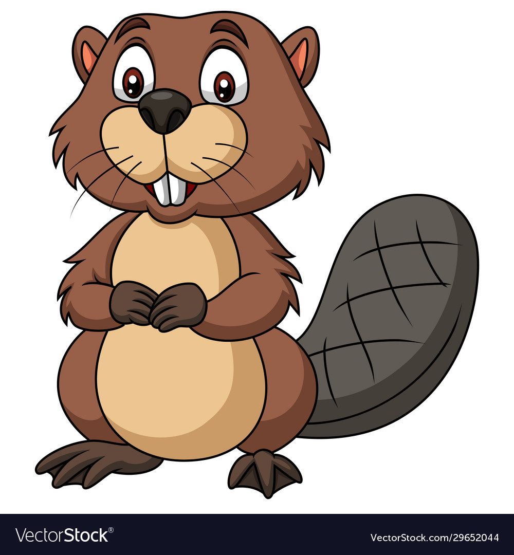 Cartoon happy beaver on white background Vector Image