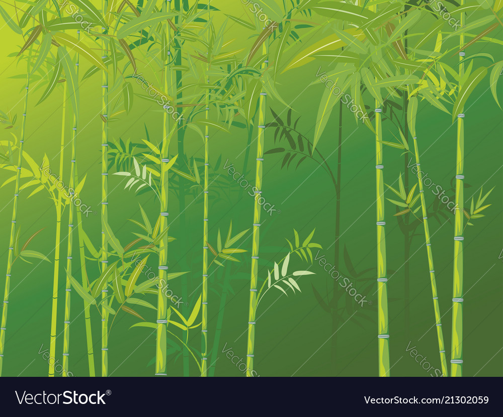 Bamboo forest scene Royalty Free Vector Image - VectorStock