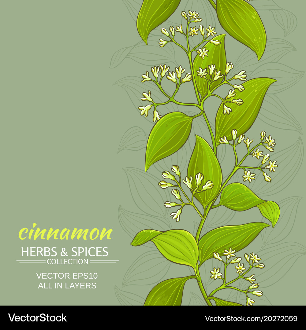 Cinnamon background Royalty Free Vector Image - VectorStock