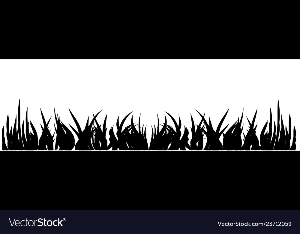 Grass vector image Grass