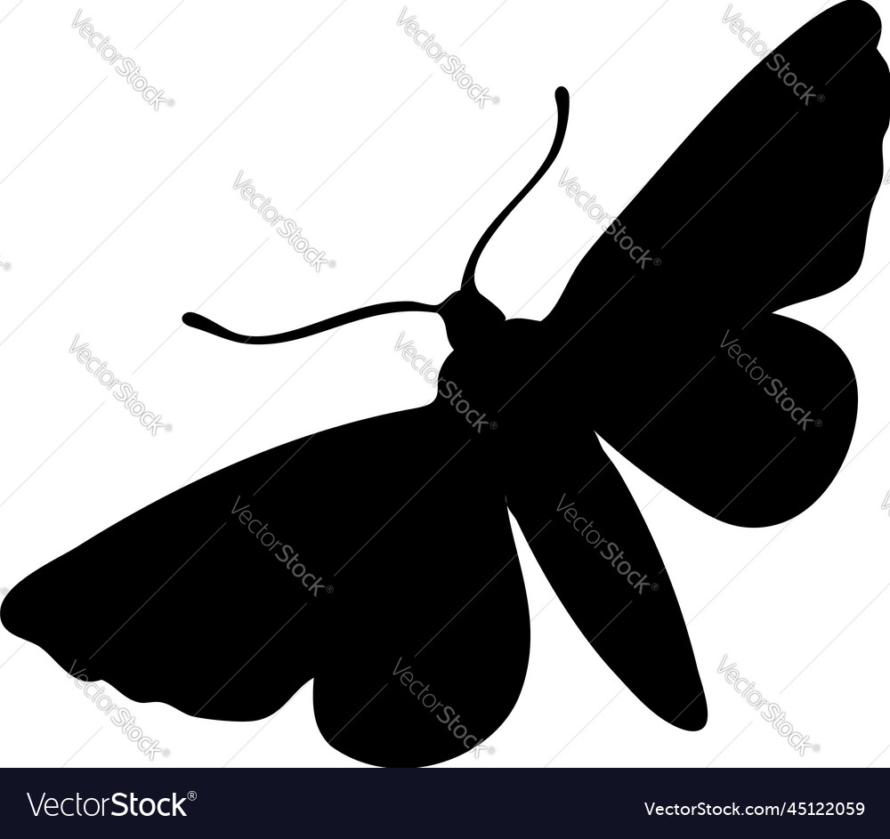 Moth silhouette Royalty Free Vector Image - VectorStock