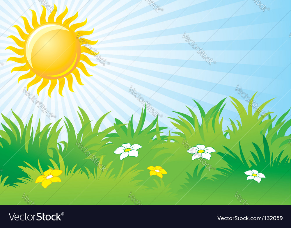 Sunny Day Background