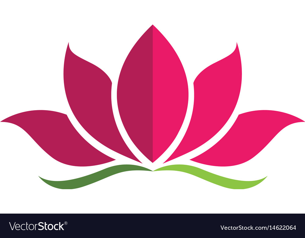 Beauty lotus flowers design logo template Vector Image