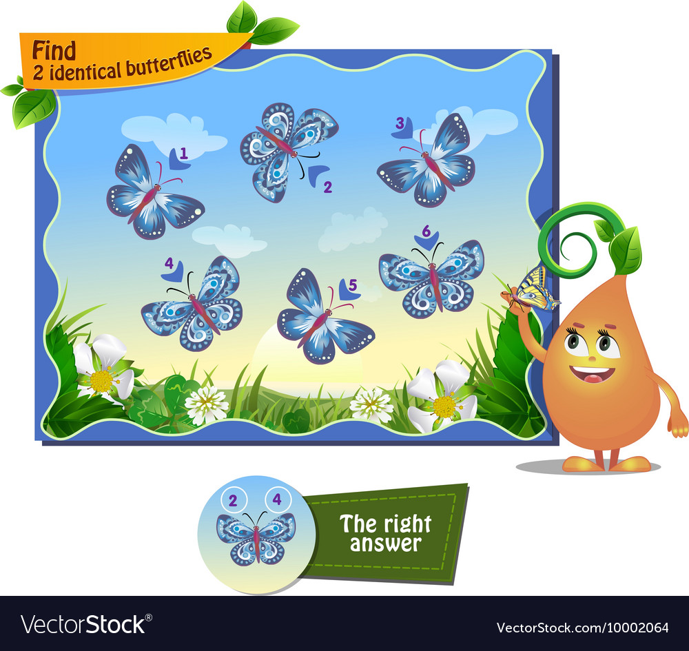 Find 2 identical butterflies Royalty Free Vector Image