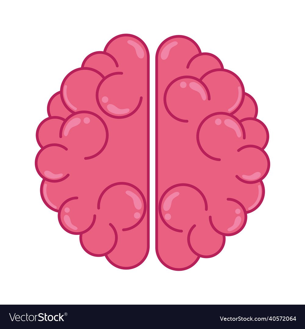 Human brain icon Royalty Free Vector Image - VectorStock