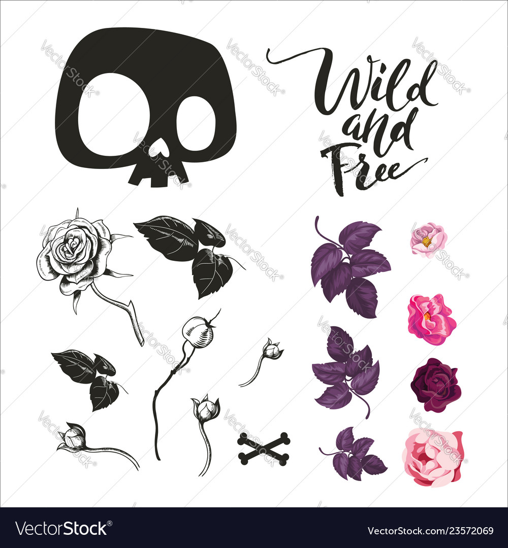 Skull and flowers collection vector image Skull and flowers collection